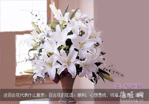 送百合花代表什么意思