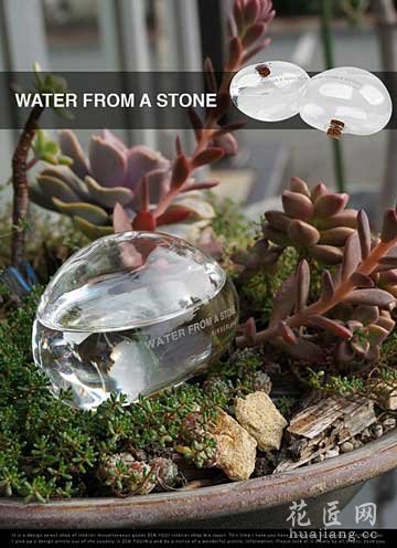 透明石头浇水器：Water From A Stone 花草树木网发表于2013年12月05日17:12:16 | 养花草