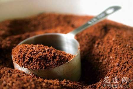 咖啡渣可以用来当花的肥料